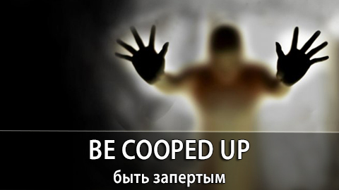 4Coopes_Up