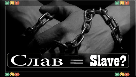 6 Slave