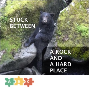 puzzle_between_a_rock