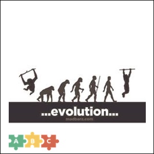 puzzle_evolution