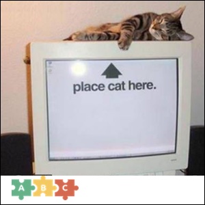 puzzle_flat_monitor