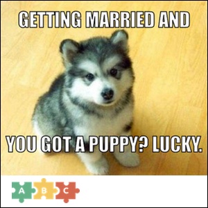 puzzle_getting_married_puppy