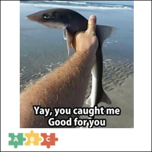 puzzle_good_for_you_fish