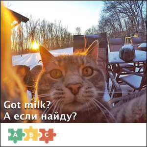 puzzle_got_milk