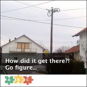 puzzle_how_did_it_get_there