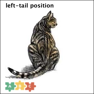 puzzle_left_tail_position