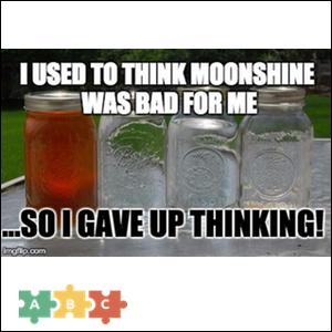 puzzle_moonshine
