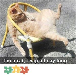 puzzle_nap_all_day_long