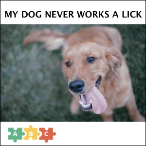 puzzle_never_works_a_lick