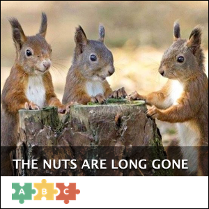 puzzle_nuts_long_gone