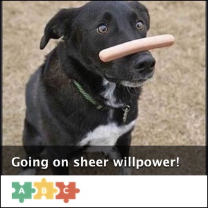 puzzle_sheer_willpower