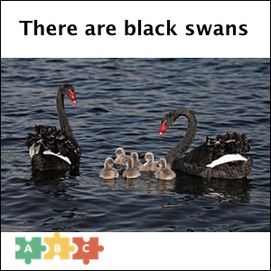 puzzle_there_are_black_swans