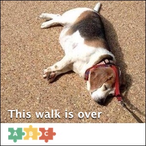 puzzle_this_walk_is_over