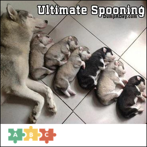 puzzle_ultimate_spooning