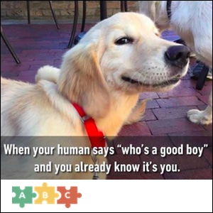 puzzle_who_is_a_good_boy