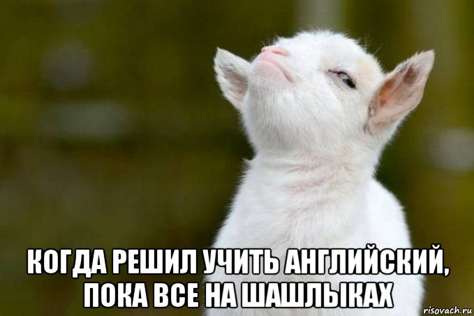 https://puzzle-english.com/wp-content/uploads/risovach.ru-6.jpg